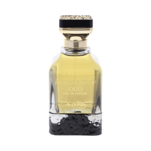 AJYAD MOUNTAIN OF OUD MEN 100 ML EDP